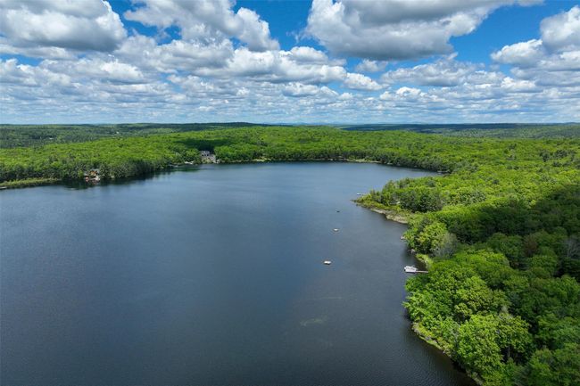 Aerial view of a forest and a large body of water | Image 46