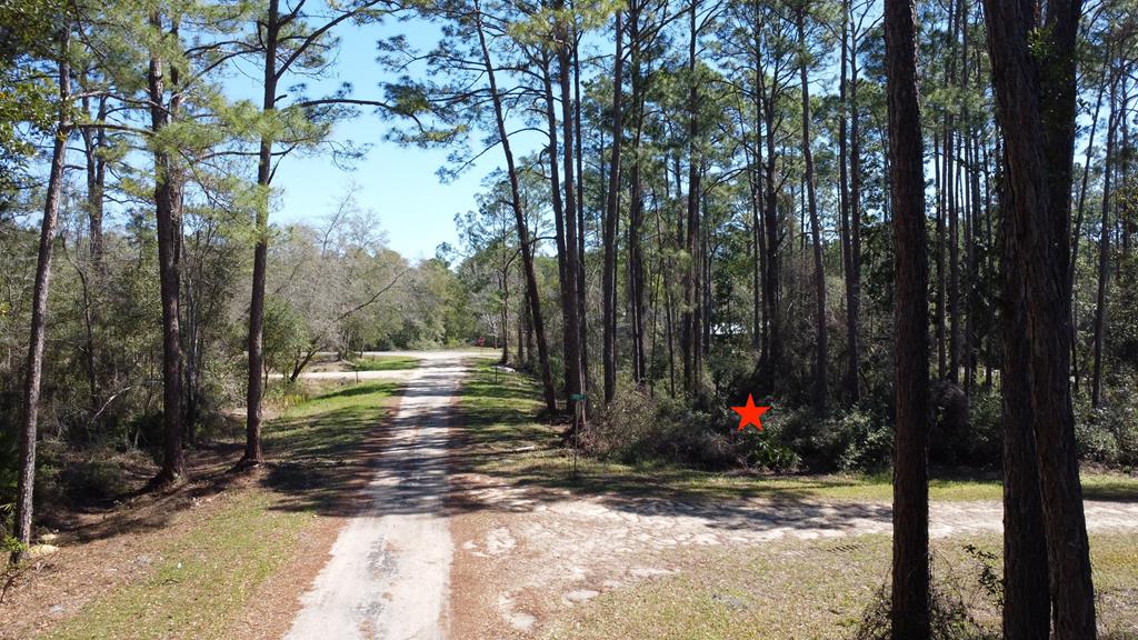 2478 Florida Ave, Carrabelle, FL 32322