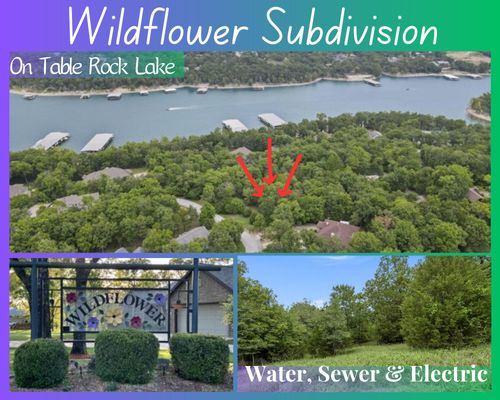 Lot 27 Wildflower Road, Kimberling City, MO, 65686 | Card Image