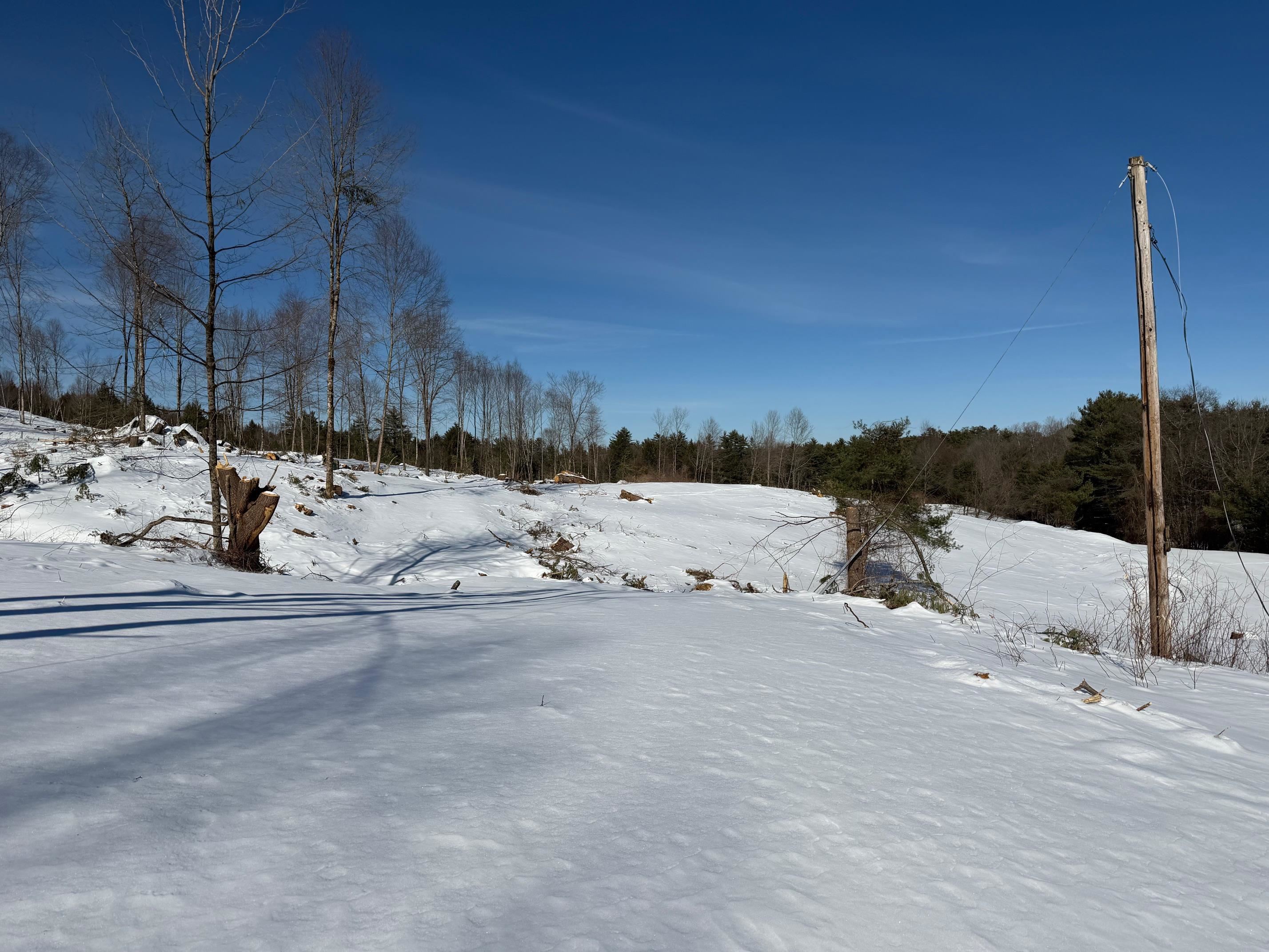 Land in Northfield 5