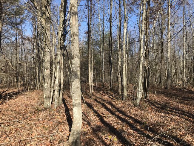 6 Hobbstown Rd, Home with 0 bedrooms, 0 bathrooms and null parking in Dunlap TN | Image 21