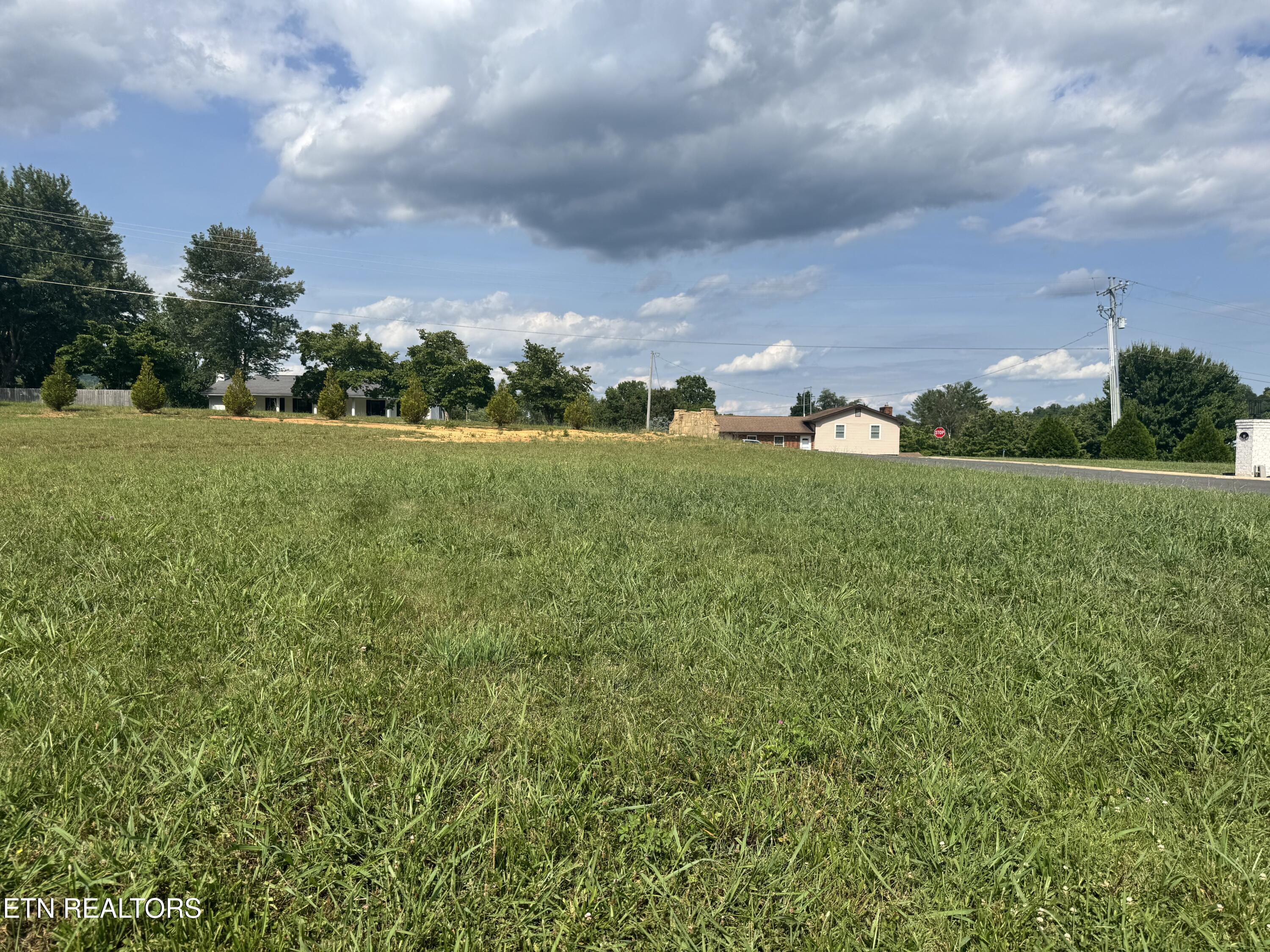 Land in Jacksboro 4