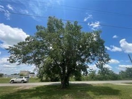 1127 W End St, Terrell, TX, 75160-3323 | Card Image