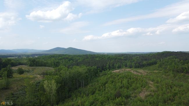0 Autry Rd Sw, Home with 0 bedrooms, 0 bathrooms and null parking in Plainville GA | Image 13