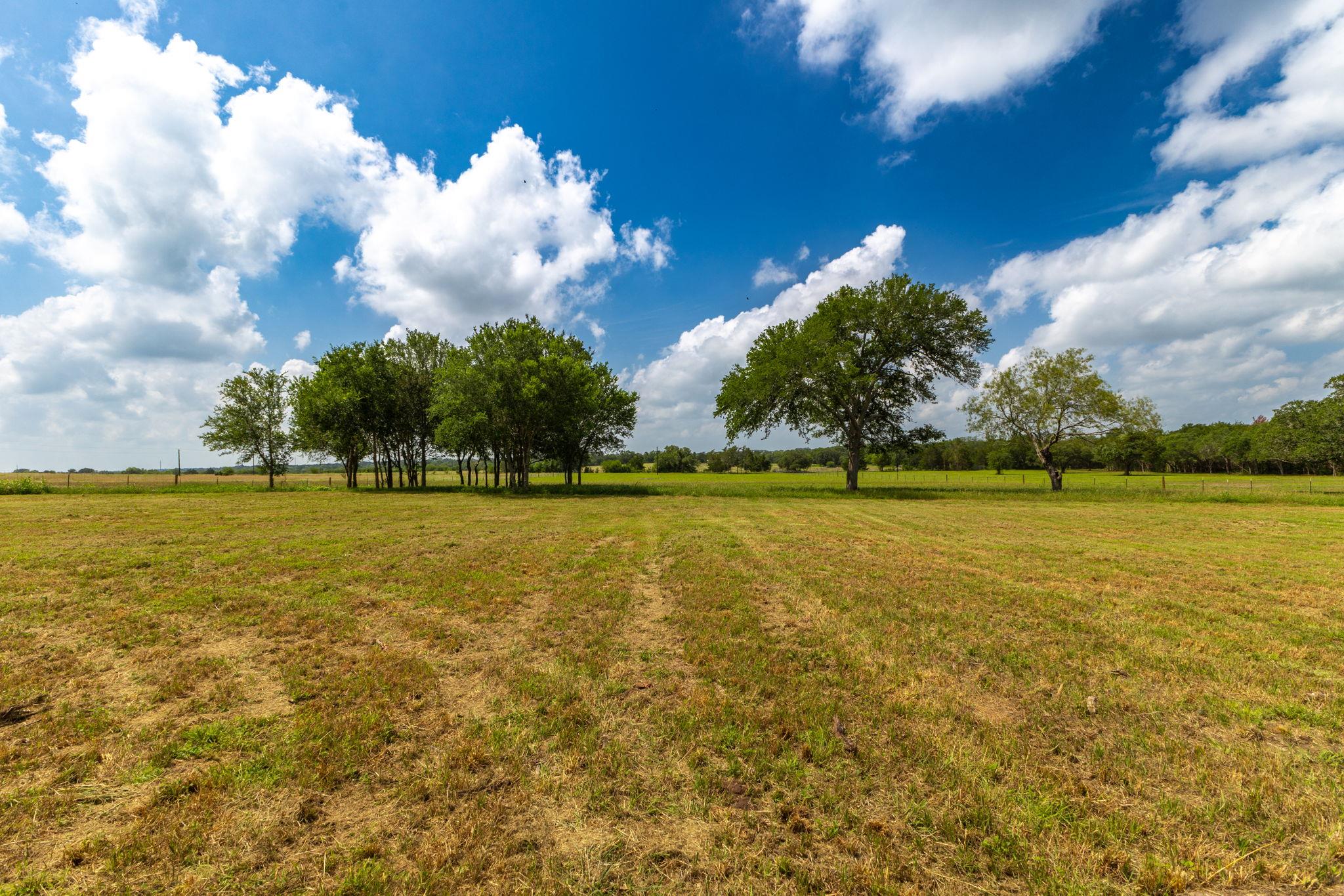 Land in Flatonia 3
