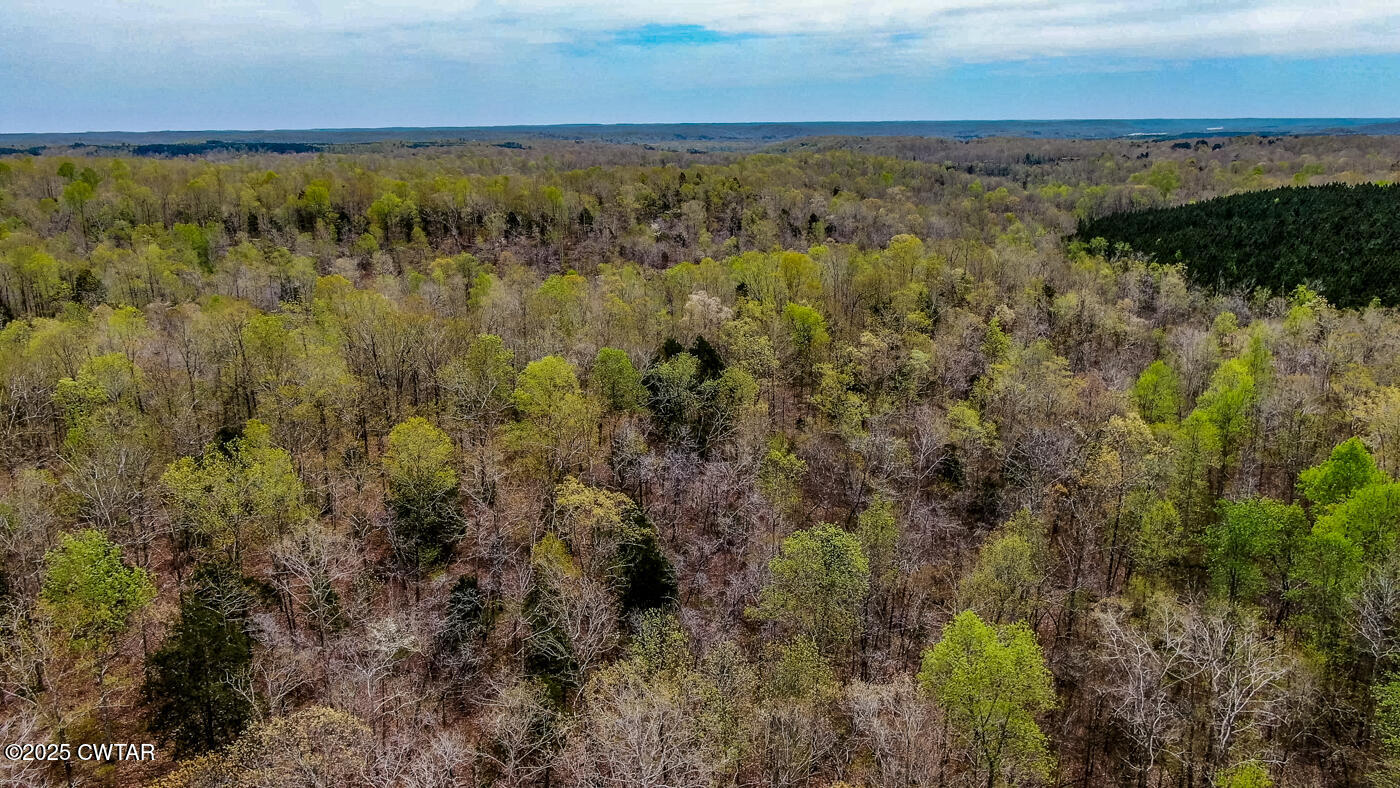 0 Fire Tower Road, For Sale in Parsons - eXp Realty