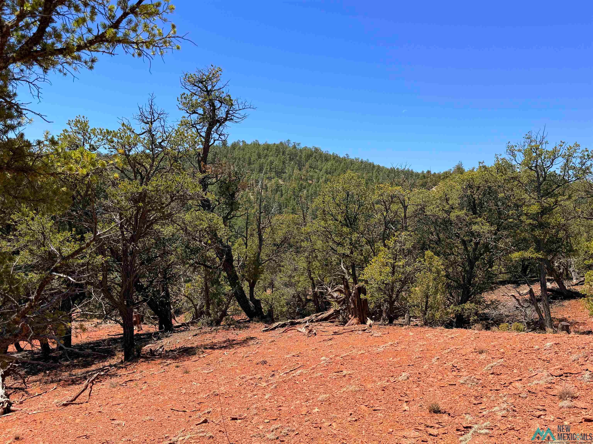 Land in El Morro National Monument 3