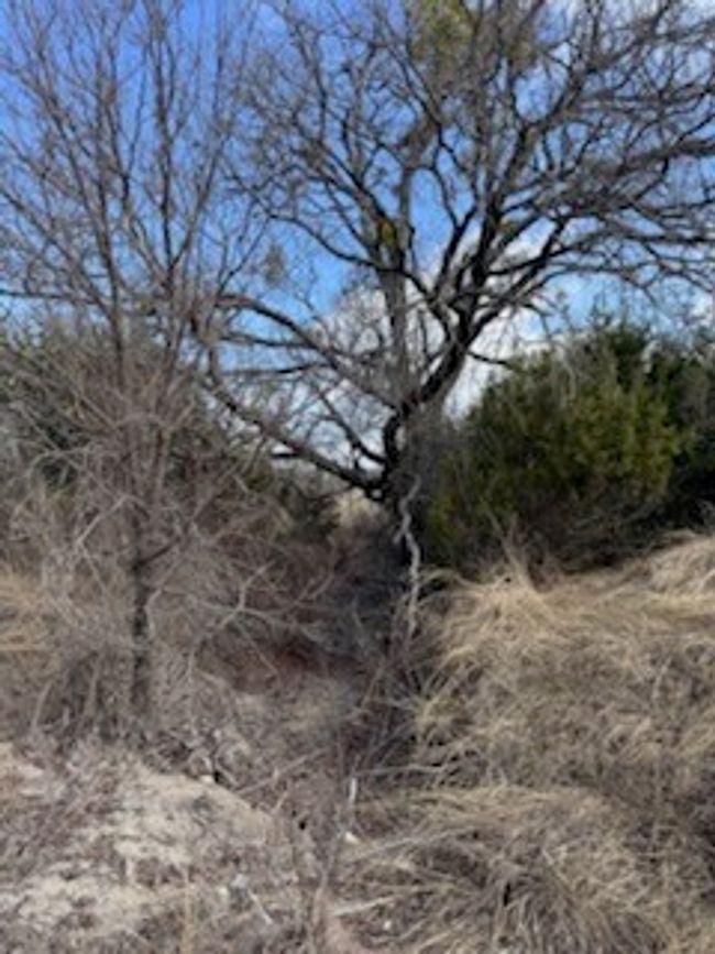 229 E Rolling Oaks Dr, Home with 0 bedrooms, 0 bathrooms and null parking in Goldthwaite TX | Image 8