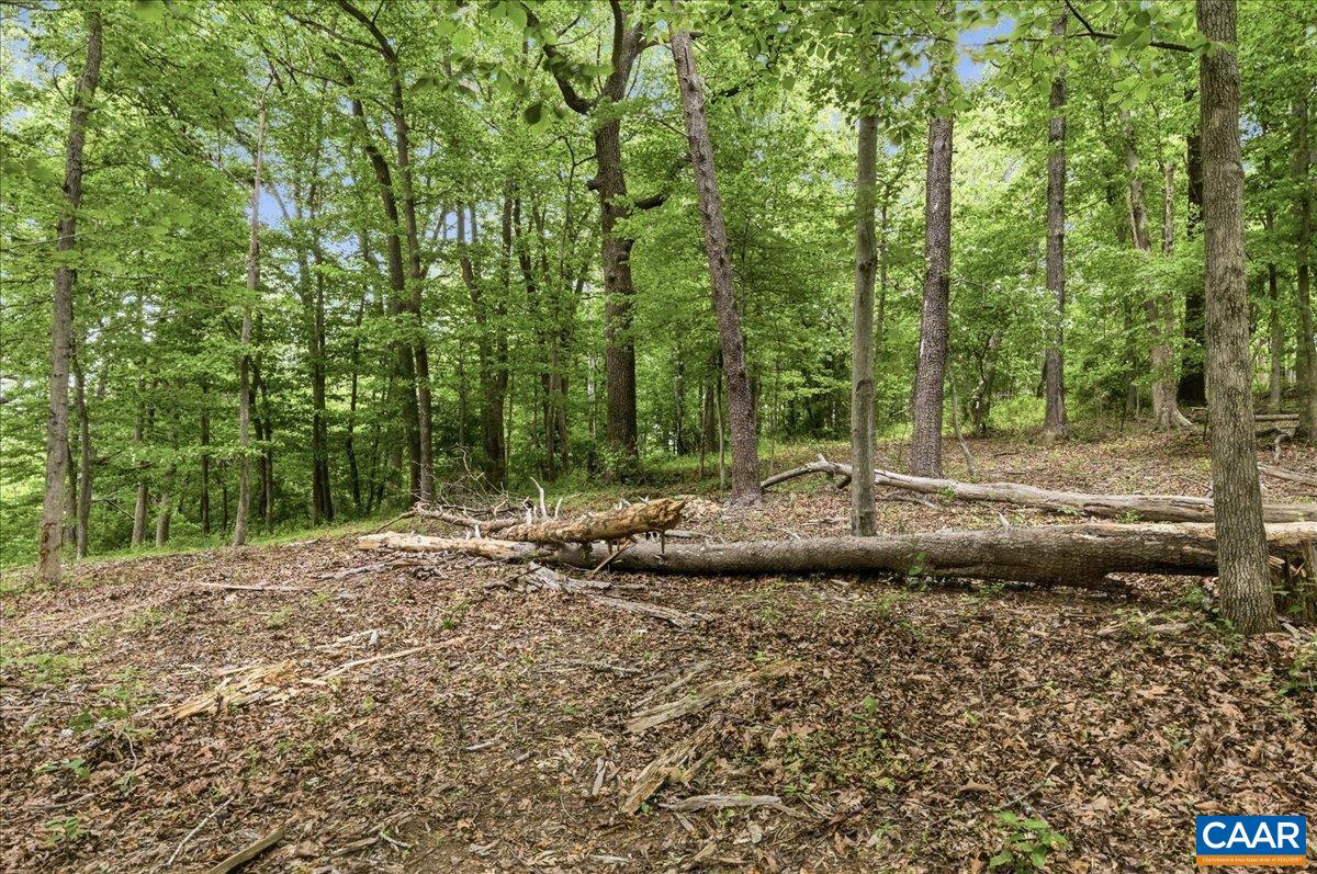 Land in Crozet 2