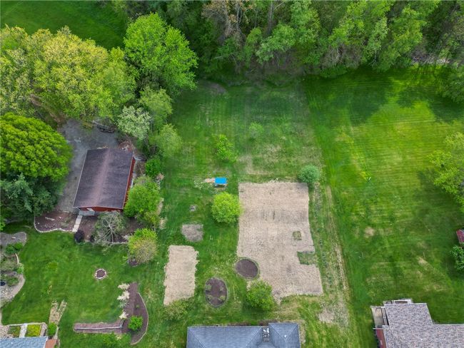 They grew vegetables in the yard, but grass has already been planted | Image 21
