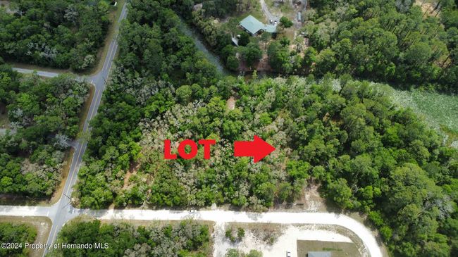 0 Haas Dr, Home with 0 bedrooms, 0 bathrooms and null parking in Webster FL | Image 6