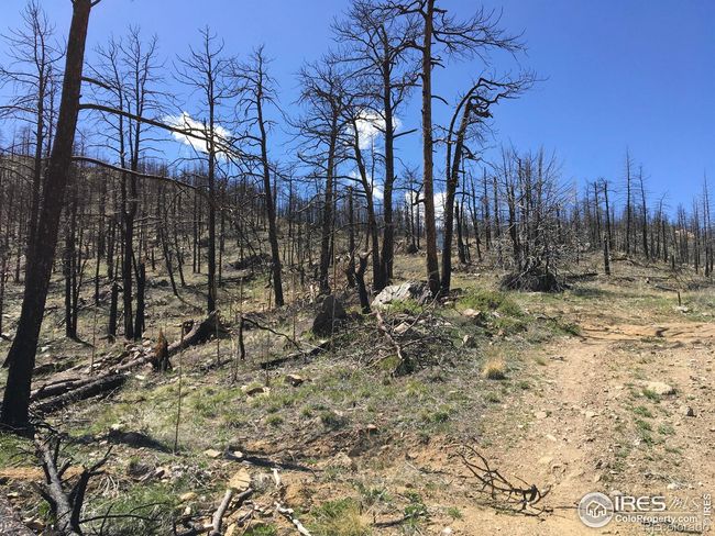 3600 Moondance Way, Home with 0 bedrooms, 0 bathrooms and null parking in Bellvue CO | Image 6