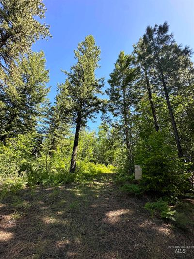 000 Mcgary Butte Rd./Usfs Rd 3308, Home with 0 bedrooms, 0 bathrooms and null parking in Bovill ID | Image 2