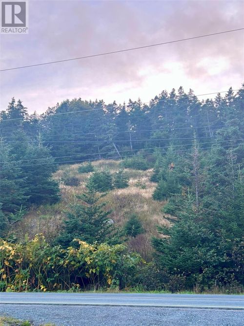 96-104 Bonds Path Rd, Placentia, NL, A0B2Y0 | Card Image