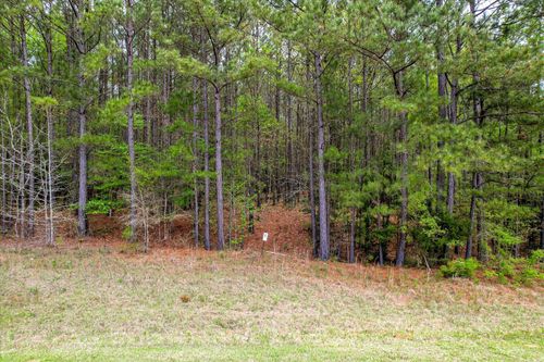 lot-11-1066 Clint Williams Rd, Lincolnton, GA, 30817 | Card Image