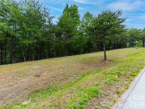 38-38 Deep Gap Farm Road E, Mill Spring, NC, 28756 | Card Image