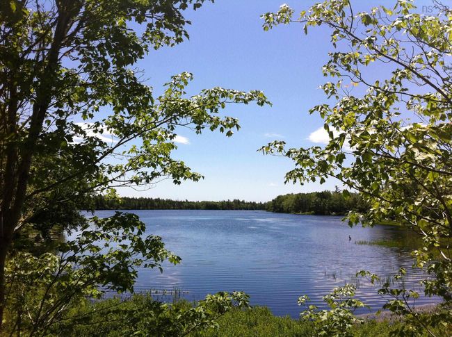 25 Juniper Way, House other with 3 bedrooms, 3 bathrooms and 4 parking in Hubley NS | Image 49