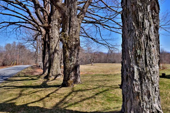 730 Parker Hill Rd, House other with 3 bedrooms, 2 bathrooms and null parking in Springfield VT | Image 44
