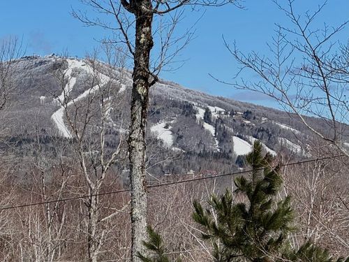 520 Moose Hollow Rd, Bondville, VT, 05340 | Card Image