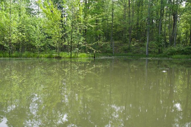 40.46AC Barker Cove Loop, Home with 1 bedrooms, 1 bathrooms and null parking in Palmer TN | Image 35