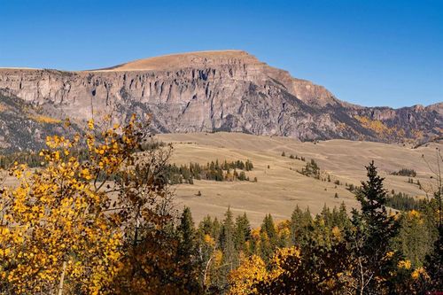 32229 Bristol Head Dr, Creede, CO, 81130-9540 | Card Image