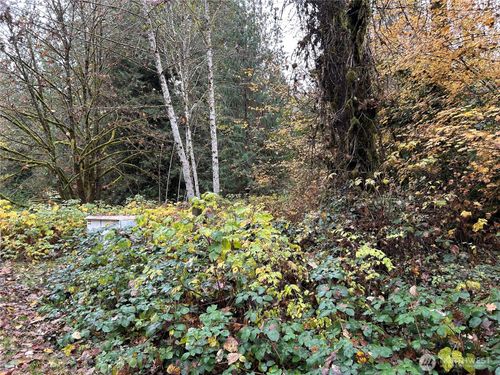 54165 Steelhead Landing Rd, Concrete, WA, 98237-9630 | Card Image