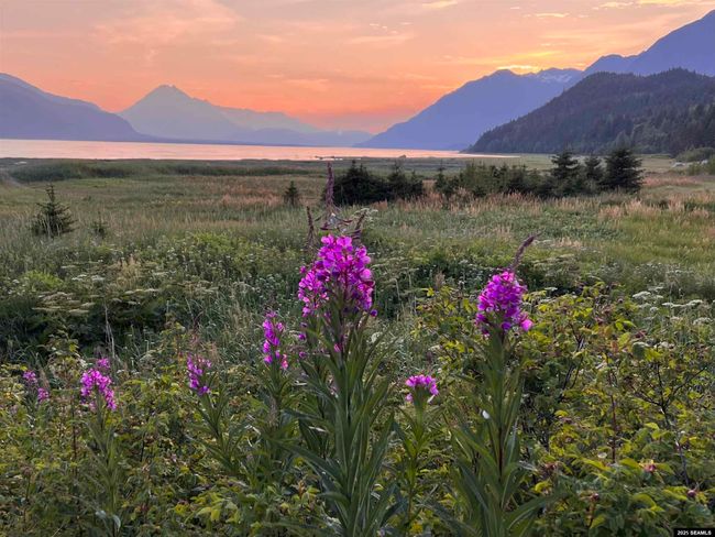 14 Chilkat Trl, House other with 4 bedrooms, 3 bathrooms and null parking in Haines AK | Image 7