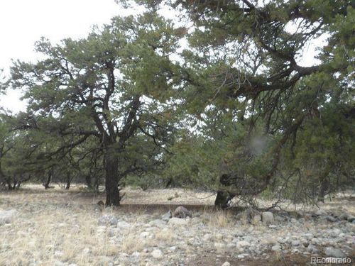 3730 Cordial Way, Crestone, CO, 81131 | Card Image