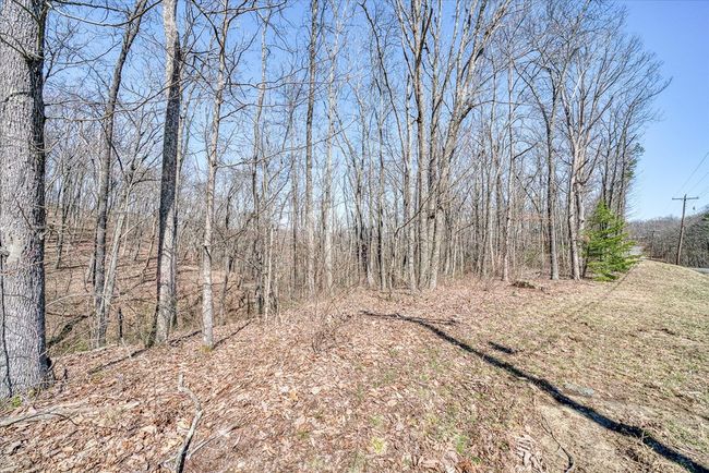 0 Lots 734 & 735 Renegade Pkwy, Home with 0 bedrooms, 0 bathrooms and null parking in Crab Orchard TN | Image 4