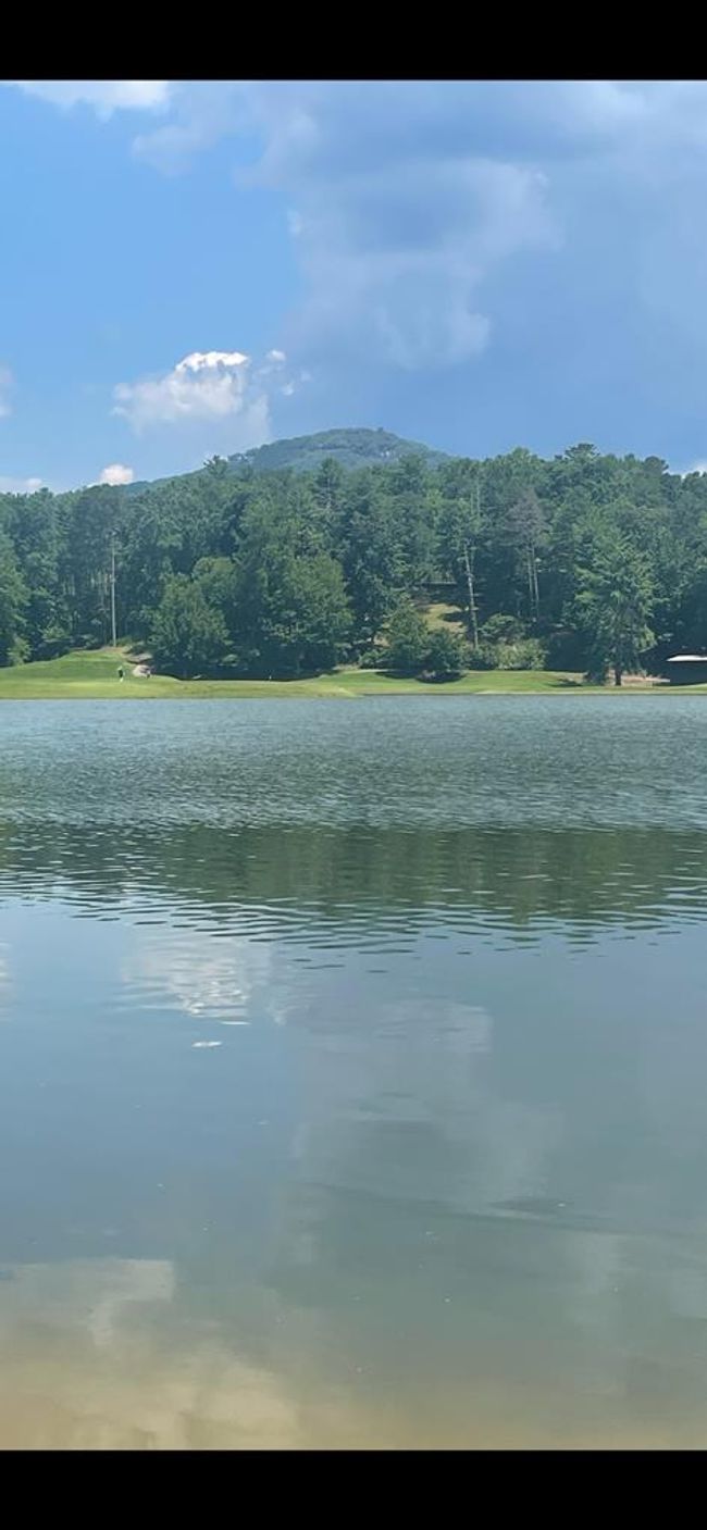 315 Windflower Dr, Home with 0 bedrooms, 0 bathrooms and null parking in Jasper GA | Image 21