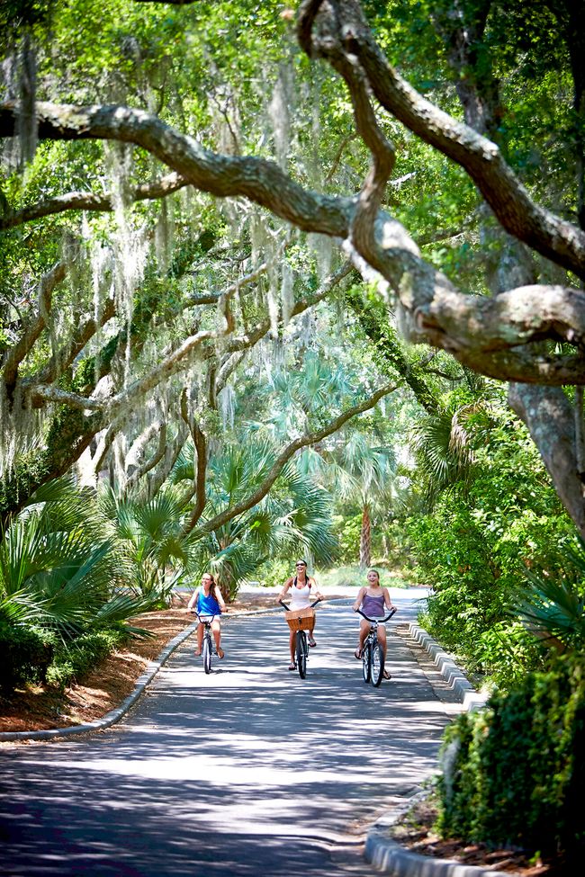 99_Seabrook_Biking under Oaks_SI Club D5 | Image 62
