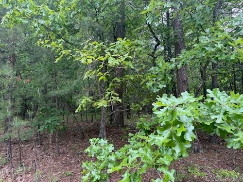 28 Brillante Lane, Hot Springs Village, AR, 71909 | Card Image