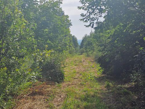 31 Aroostook Scenic Highway, Patten, ME, 04765 | Card Image