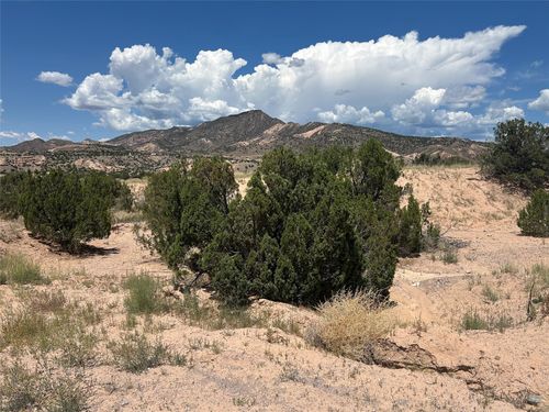 24 Cottonwood Ln, Abiquiu, NM, 87510 | Card Image
