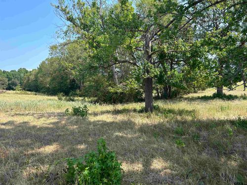 LOT 8 5.5ACRES County Road 2166, Troup, TX, 75789 | Card Image