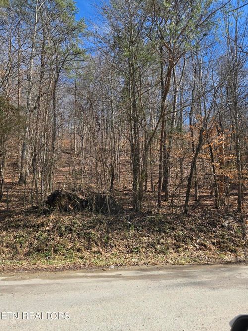 204 Archer Rd, Luttrell, TN, 37779-2408 | Card Image