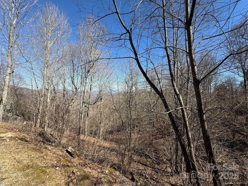 31-000 Running Cedar Ln, Mars Hill, NC, 28754 | Card Image