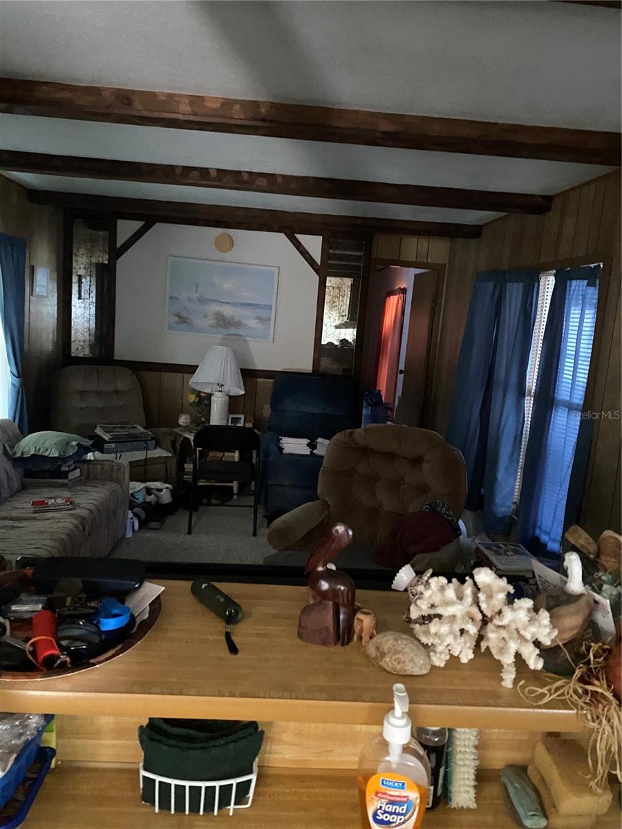 Residential in LAKE PANASOFFKEE 4