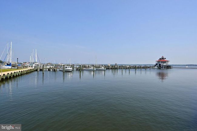 67 - 317 Shipyard Dr, Townhouse with 3 bedrooms, 4 bathrooms and null parking in CAMBRIDGE MD | Image 52
