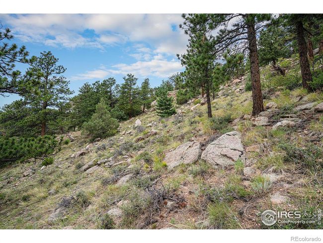 0 Prospect Mountain Dr, Home with 0 bedrooms, 0 bathrooms and null parking in Estes Park CO | Image 4