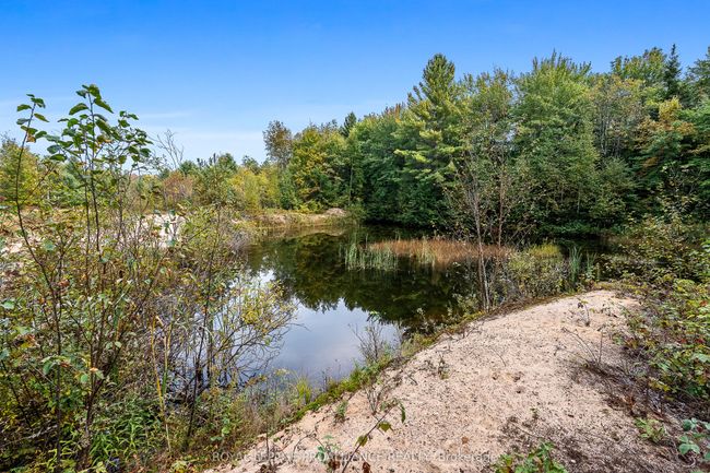 00 Highway 41, Home with 0 bedrooms, 0 bathrooms and null parking in Kaladar ON | Image 13