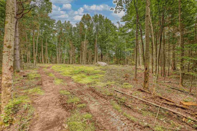 42 - 00 Ridge Rd, Home with 0 bedrooms, 0 bathrooms and null parking in Bethlehem NH | Image 8