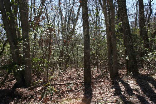 TBD Summit Dr. Summit Dr N, MONTEREY, VA, 24465 | Card Image