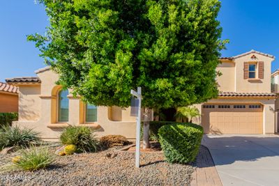 2872 E Redwood Place, House other with 6 bedrooms, 4 bathrooms and null parking in Chandler AZ | Image 3