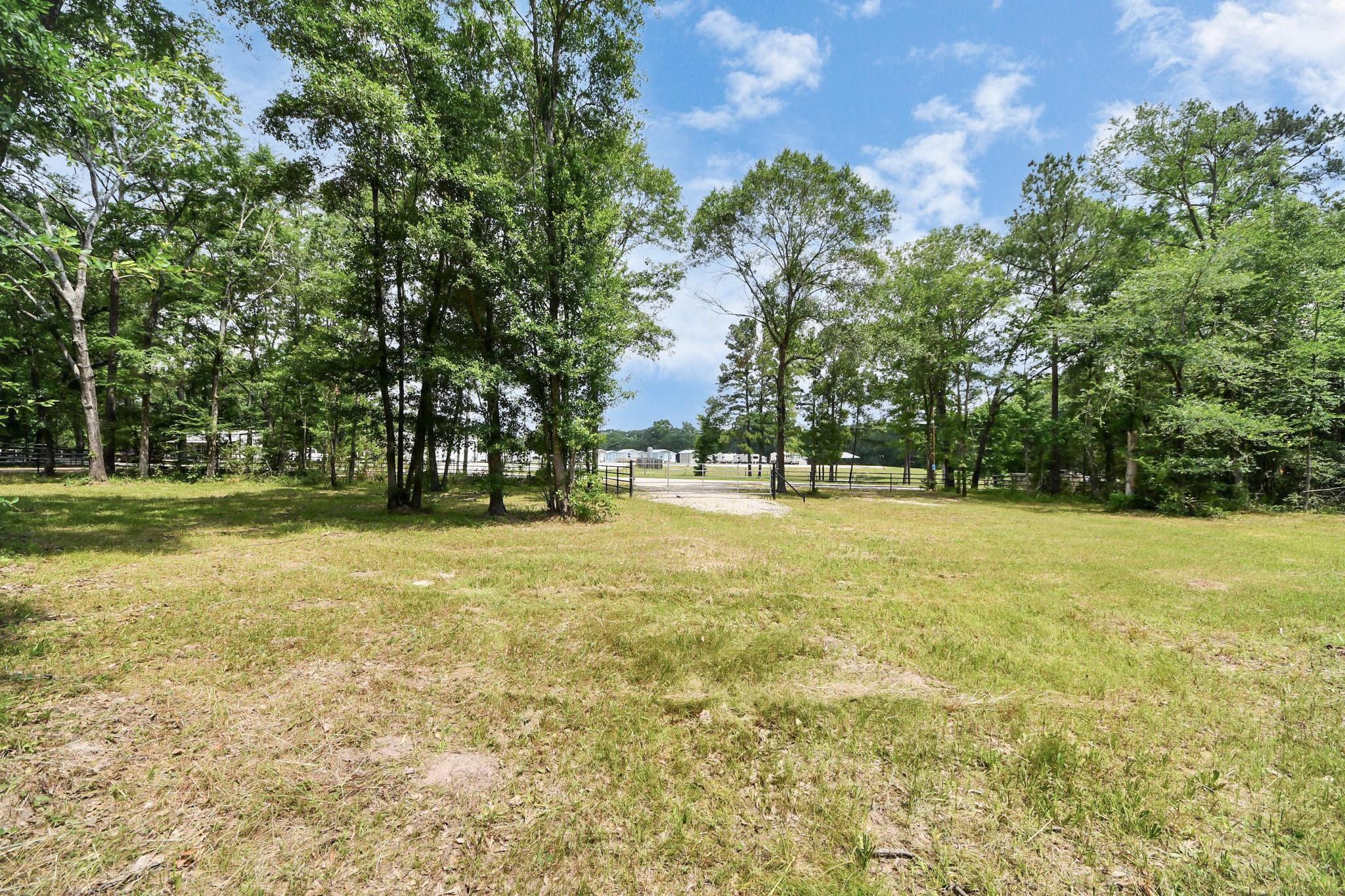 Land in Montgomery 4