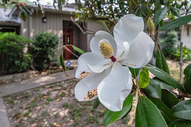 161 Red Bird Rdg, House other with 3 bedrooms, 3 bathrooms and null parking in Beeville TX | Image 5