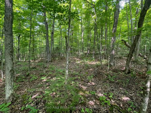 285 Chapman Drive, Magnetawan, ON, P0A1P0 | Card Image