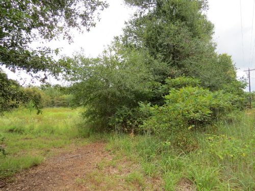 TBD Private Road 7054, Gause, TX, 77857 | Card Image