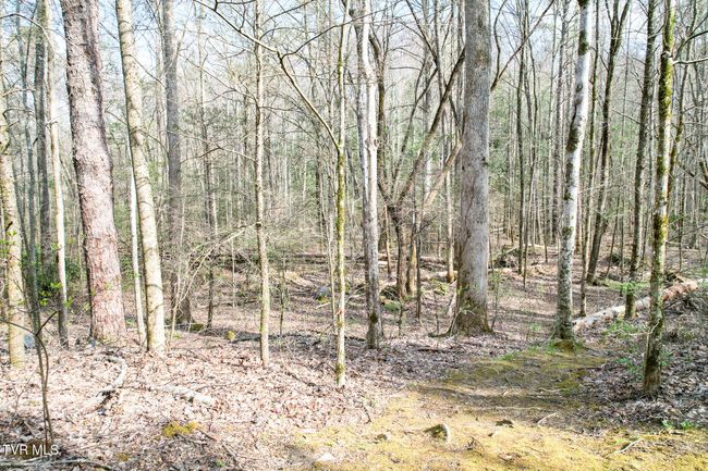 120 Misty Way, House other with 2 bedrooms, 2 bathrooms and null parking in Cosby TN | Image 36
