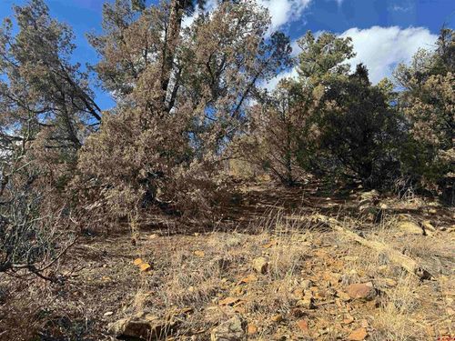 3 County Road 335, Pagosa Springs, CO, 81147 | Card Image